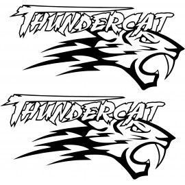 THUNDERCAT