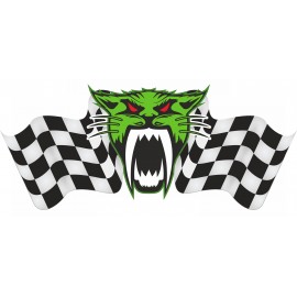 ARCTIC CAT RACING