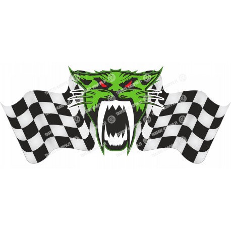 ARCTIC CAT RACING