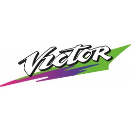 KAWASAKI VICTOR