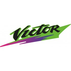 KAWASAKI VICTOR