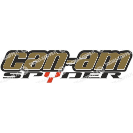 CAN AM SPYDER