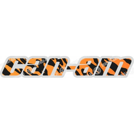 CAN AM