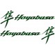 SUZUKI HAYABUSA 