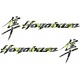 SUZUKI HAYABUSA 