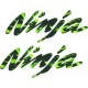 KAWASAKI NINJA 