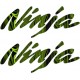 KAWASAKI NINJA 