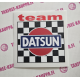 TEAM DATSUN