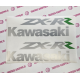 KAWASAKI ZX-RR