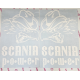 SCANIA POWER