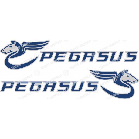 BAILEY PEGASUS