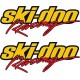 SKI DOO RACING