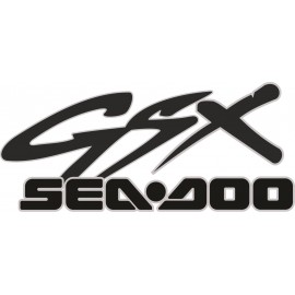 SEA DOO GSX 