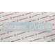 BECAUSE OCTAVIA