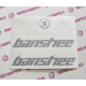 BANSHEE