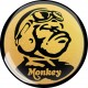 HONDA MONKEY KOHOTARRAT
