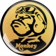 HONDA MONKEY KOHOTARRAT