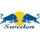 SWEDEN POWER