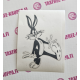 BUCS BUNNY