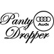 PANTY DROPPER AUDI