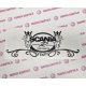 SCANIA R SERIES