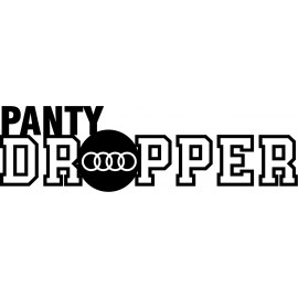 PANTY DROPPER AUDI