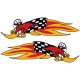 WOODY WOODPECKER RACING