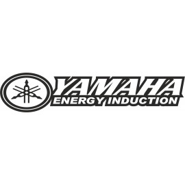 YAMAHA ENERGY INDUCTION