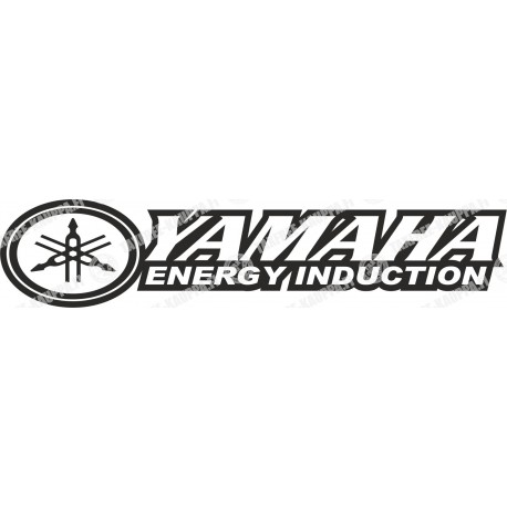 YAMAHA ENERGY INDUCTION