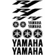 YAMAHA R1