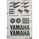 YAMAHA R1 YZF