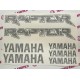 YAMAHA RAPTOR