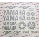 YAMAHA R1 EXUP