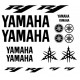 YAMAHA R1 