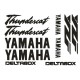 YAMAHA THUNDERCAT