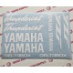 YAMAHA THUNDERCAT