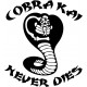 COBRA KAI