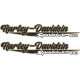 HARLEY DAVIDSON SPORTSTER 883
