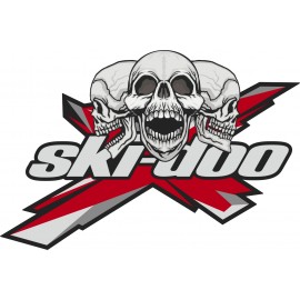 SKI DOO