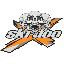 SKI DOO