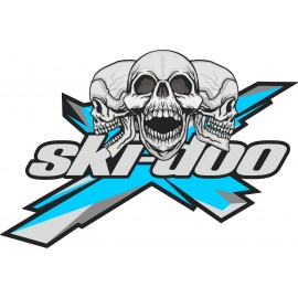 SKI DOO