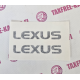 LEXUS JARRUSATULA TARRAT