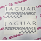 JAGUAR PERFORMANCE