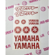 YAMAHA TDM