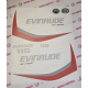 EVINRUDE 115 E-TEC PERÄMOOTTORI TARRAT