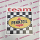 TEAM PENNZOIL