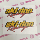 SKI DOO RACING