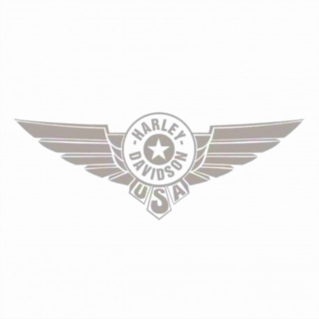 HARLEY DAVIDSON