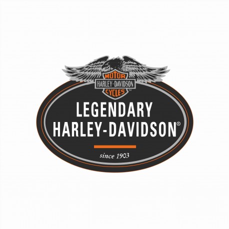 HARLEY DAVIDSON