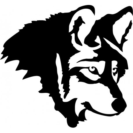 KOIRA